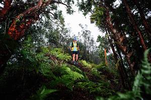 BIB: 
                            <button type="button" onclick="openModal(26205538)" class="btn btn-primary btn-sm float-right btn-popup" data-toggle="modal" data-target=".modal-high-quality">
                        <i class="fas fa-shopping-cart"></i> Add to Cart
                    </button>
                                            <button type="button" onclick="isThisMe(26205538, true)" class="btn btn-success btn-sm float-right btn-popup btn-isme hidden" data-toggle="tooltip" data-placement="bottom" title="นี่คือรูปของคุณใช่ไหม คลิกที่นี่เพื่อเอาเข้าอัลบั้ม">
                        <i class="fas fa-plus"></i> Add to album
                    </button>
                    <button type="button" onclick="isThisMe(26205538, false)" class="btn btn-warning btn-sm float-right btn-popup btn-isnotme hidden">
                        <i class="fas fa-ban"></i> Remove from album
                    </button>